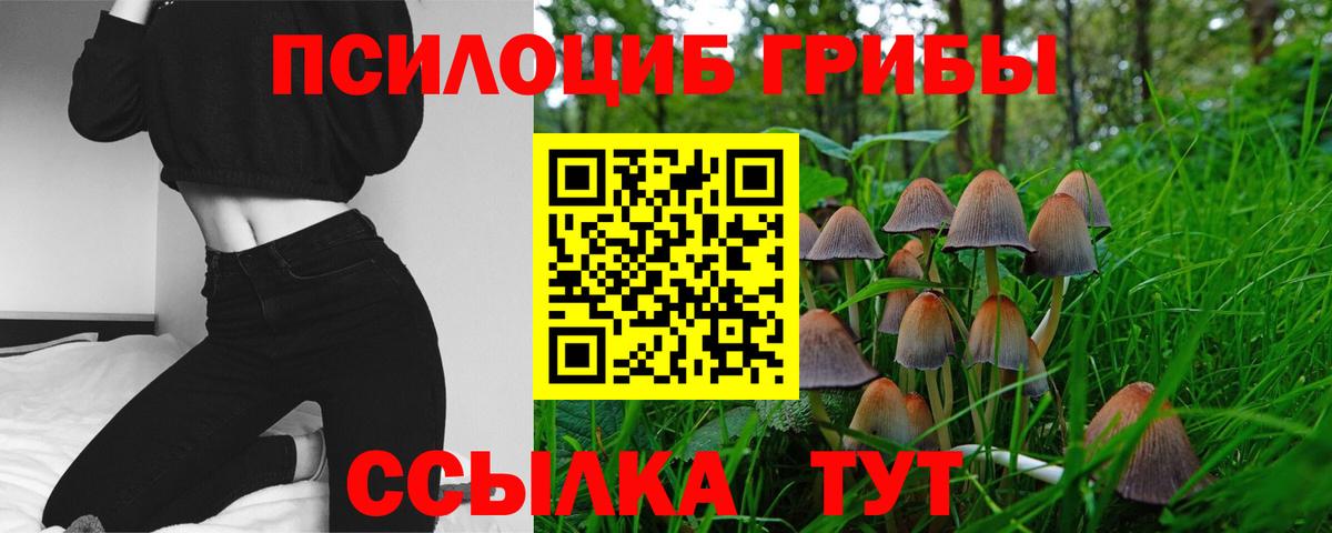 Галлюциногенные грибы GOLDEN TEACHER  где можно купить наркотик  Псилоцибиновые грибы Magic Shrooms  Ноябрьск  Вход с VPN 
